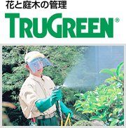 ダスキントゥルグリーン